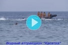Video – "Killer whale"